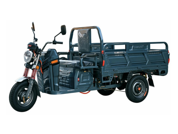 T1000DZH-2 TRICERA MOTO