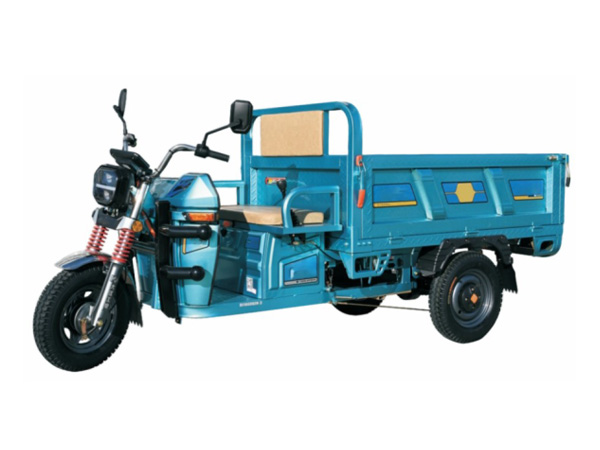 T1000DZH-3 TRICERA MOTO